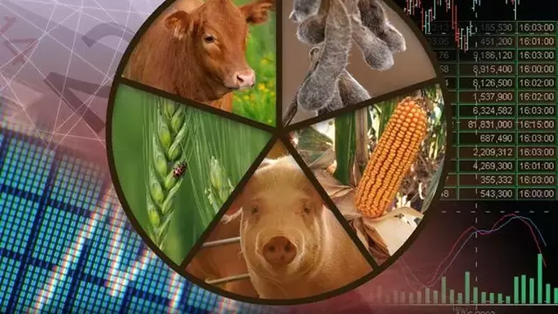 Periodic Updates on the Grains, Livestock Futures Markets