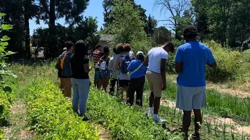 Black Futures Farm offers a space for Black people to grow food and