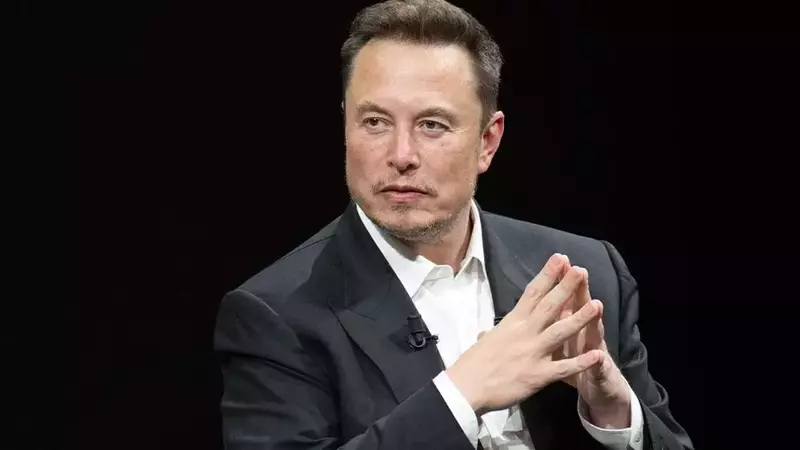 Market Rally Resilient, But New Buys Tricky; Tesla Robotaxi Looms