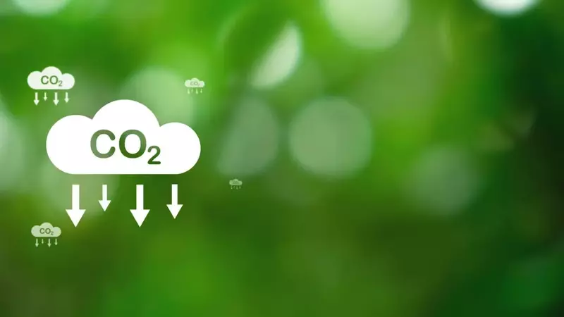 Regulatory Overreach: CFTC's Controversial Foray into Voluntary Carbon Credit Markets