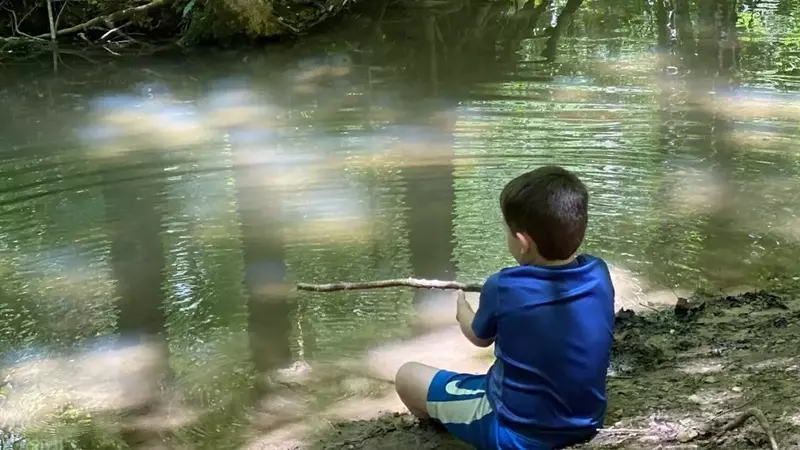 A Celebration of Nature: Encouraging Young Generations to Explore Parks