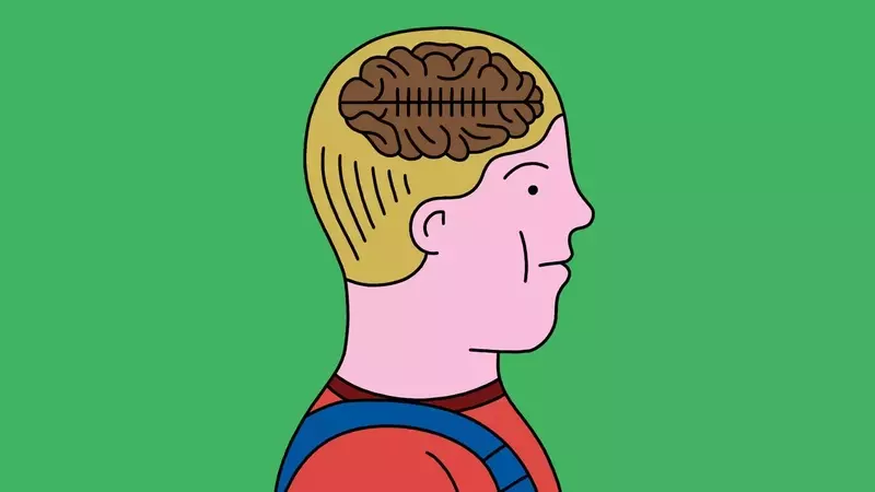 Concerns Mount Over Head Injuries in Youth Contact Sports