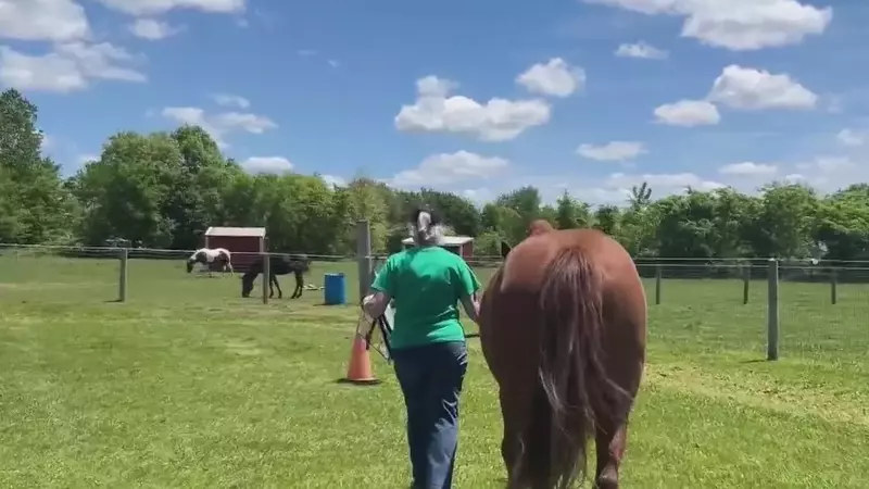 Empowering Young Hearts: A Unique Equestrian Initiative in Michigan