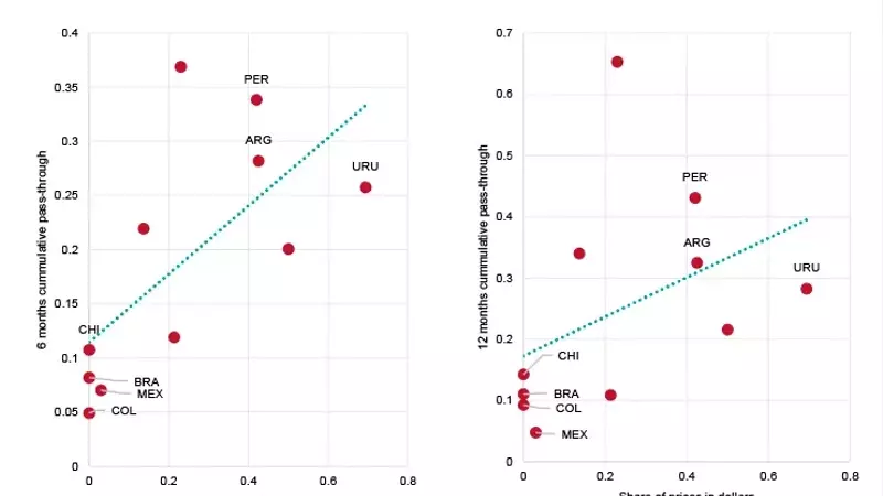 Argentina's Transition to a New Monetary and Exchange Rate Regime: A Path Toward Stability