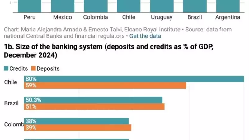 Argentina's Evolving Currency Framework: A Path to Stability or Dollarization?