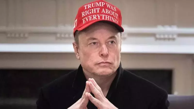 Tesla's Stock Plummets as Musk's Political Pursuits Eclipse Automotive Focus