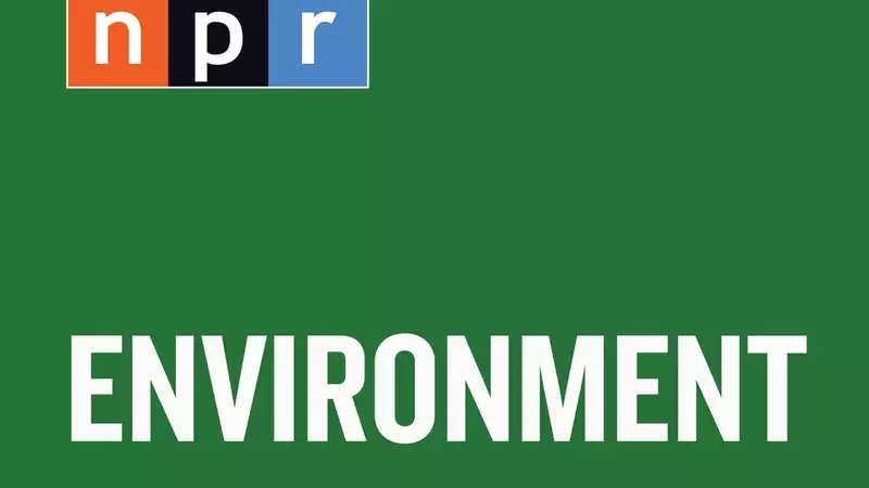 The Enduring Challenge of Sealing Abandoned Oil and Gas Wells Across the U.S.