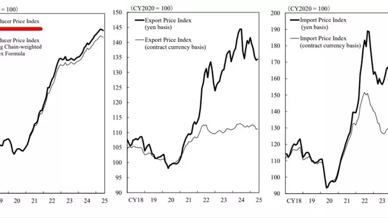 Japan's June Producer Price Index: A Detailed Analysis