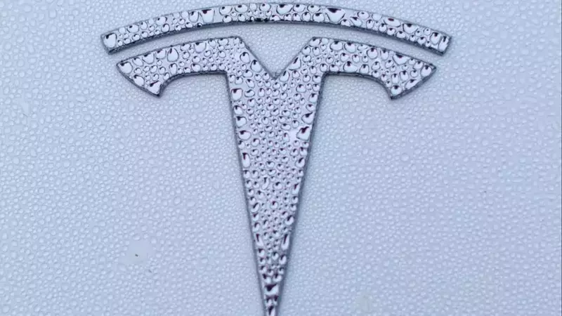 Tesla's Robotaxi Ambitions Face Regulatory Hurdles in California