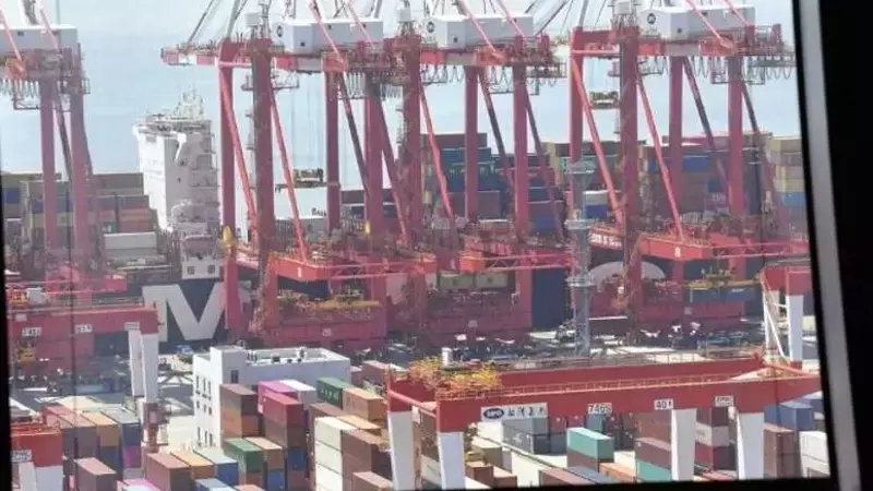 China's Trade Performance: Exports Surge, Imports Decline in First Half of 2025