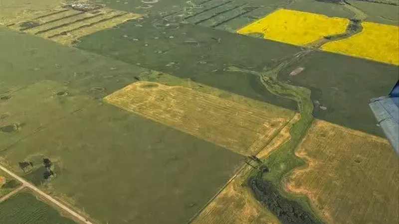 Close Call: Commercial Flight Evades Mid-Air Collision Near Military Base
