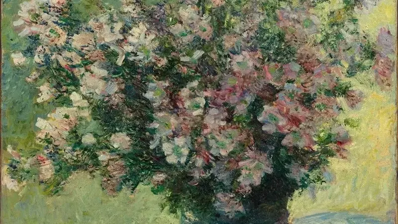 A Journey into Blurred Vision: Discovering Monet's World Through My Own Eyes