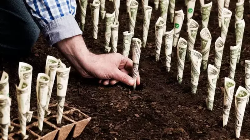 Maximizing Your Retirement Savings Through Employer 401(k) Matching
