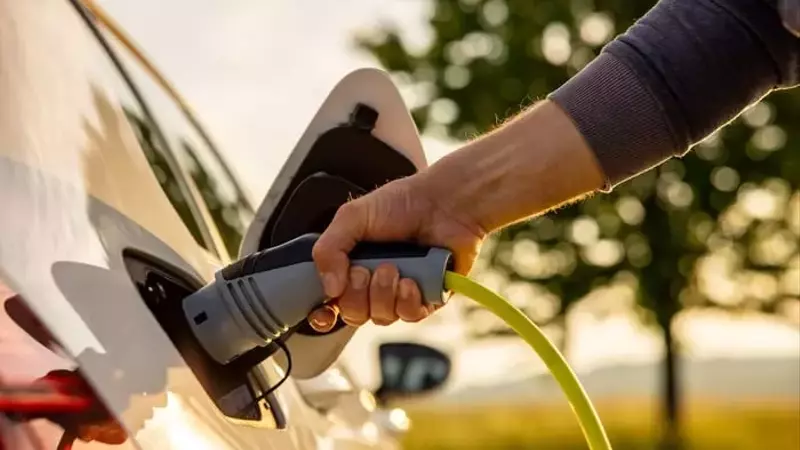NXP Semiconductors: A Quiet Powerhouse in Automotive AI