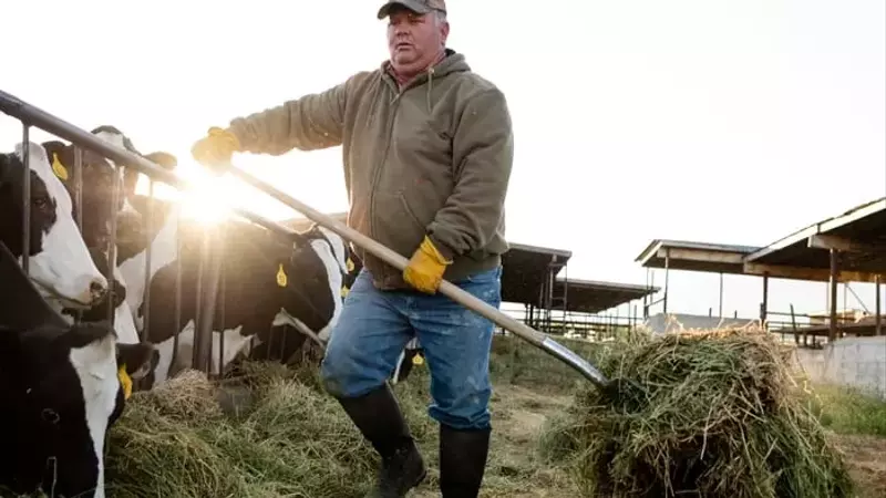 Tractor Supply: A Robust Dividend Stock for Long-Term Investors