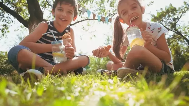 Lemonade's Ascent: An AI-Driven Insurtech's Path to Market Leadership
