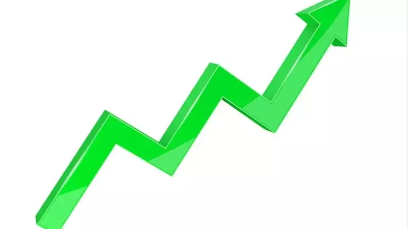 Oracle's Stock Soars Amidst TikTok Acquisition Buzz, Not Just AI