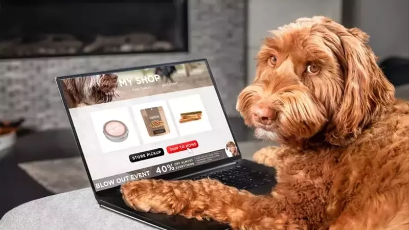 Chewy's Stock Drop: An Opportunity for Investors?