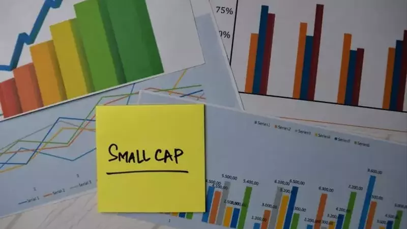 Small-Cap Stocks Lead Market Rally Amid Economic Uncertainty