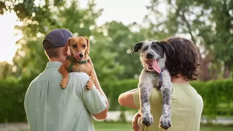 Chewy's Strategic Expansion: A Pathway to Enhanced Profitability