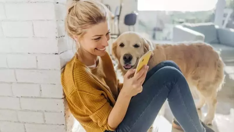 Chewy's Strategic Rebound: Operational Strength Amidst Market Volatility
