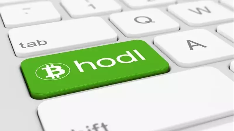 Bitcoin's Enduring Value Proposition in a Changing Financial Landscape