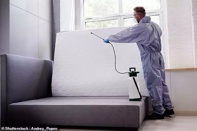Navigating Bed Bug Infestations in Rental Properties: Tenant and Landlord Responsibilities