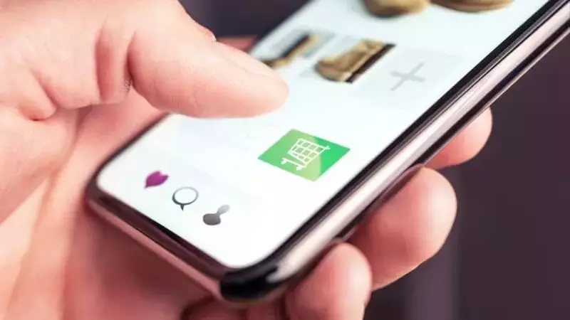 Shopify's Ascending Market Position: A Deep Dive into its Recent Financial Achievements and Future Prospects