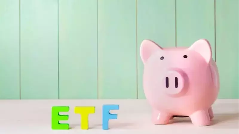 The Unsung Hero of Investing: Vanguard Total Stock Market ETF