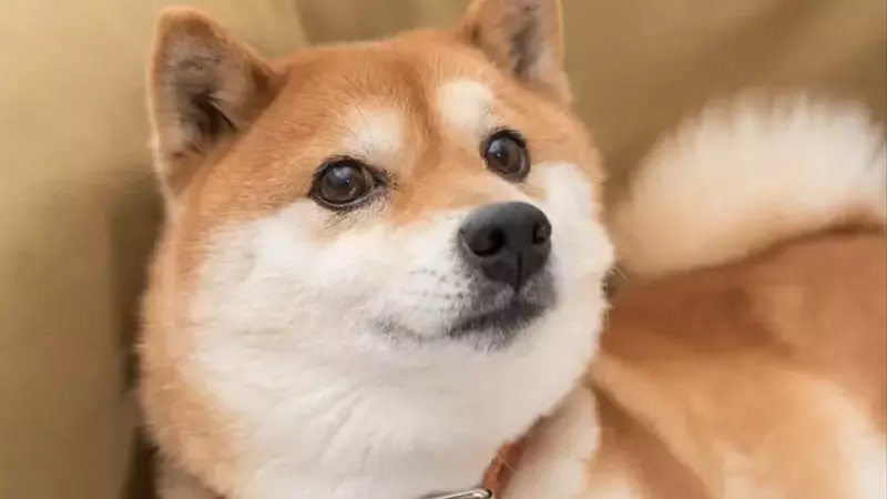 Dogecoin vs. World Liberty Financial: A Comparative Investment Analysis