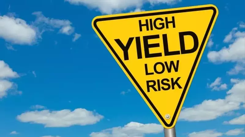 Identifying Promising High-Yield Dividend Stocks