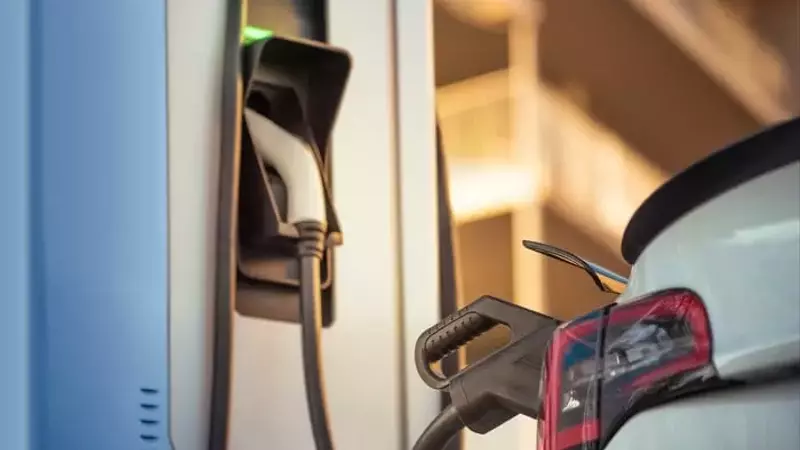 Navigating Tesla's Volatile Trajectory: Robotaxis and Shifting Subsidies