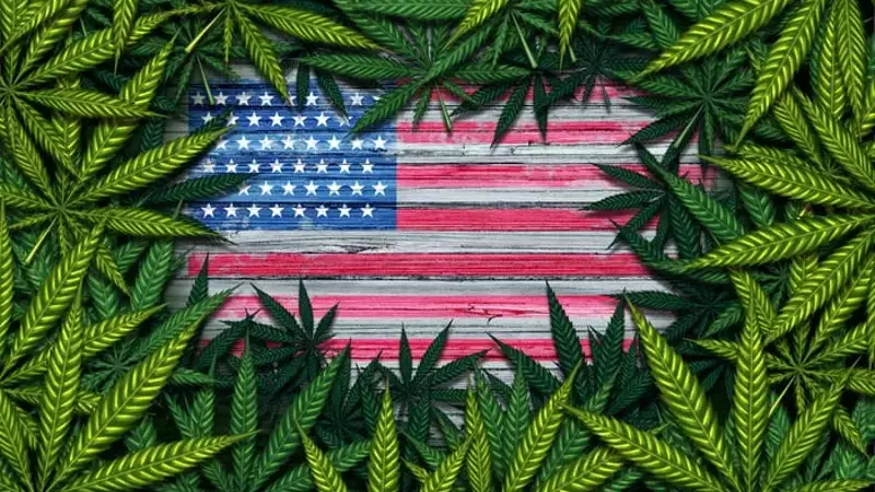 Trump's CBD Post Ignites Marijuana Legalization Hopes and Stock Surge
