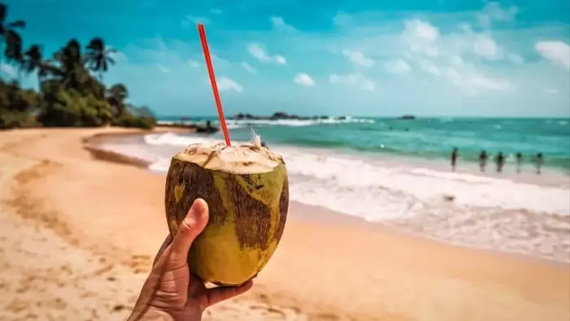 Vita Coco: Can This Beverage Challenger Replicate Monster Beverage's Phenomenal Growth?