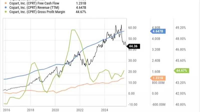 Identifying Robust Companies for Enduring Investment Returns