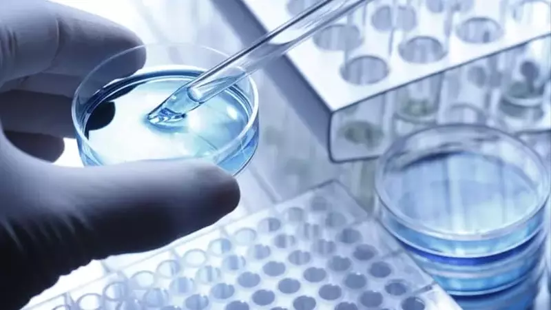 Iovance Biotherapeutics: A High-Risk, High-Reward Investment Opportunity in Immunotherapy
