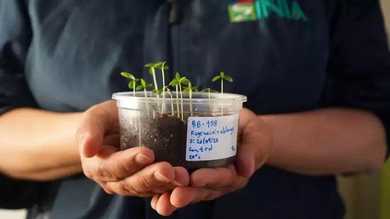 Chile's Desert Vault: Safeguarding Plant Diversity Amidst Climate Change