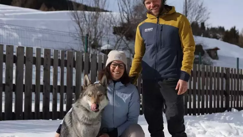 Nazgul, the Wolfdog, Becomes Unlikely Olympic Sensation in Italy