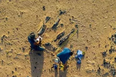 New Dinosaur Species Discovered with Unique Horn and Aquatic Lifestyle