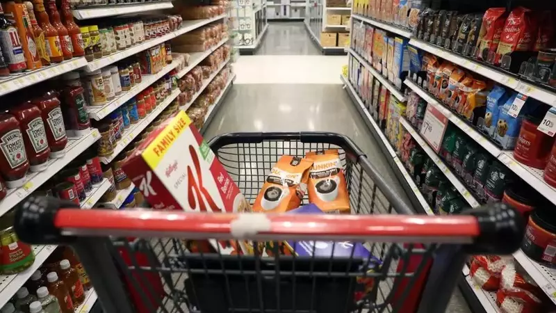 Tariff Persistence: Why Consumer Prices Remain Elevated Despite Legal Challenges