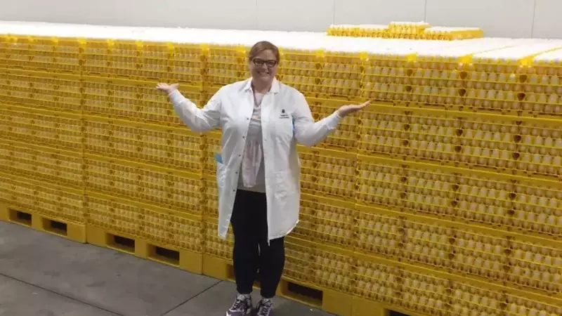Egg Prices Decline Amidst Avian Flu Recovery and Market Saturation