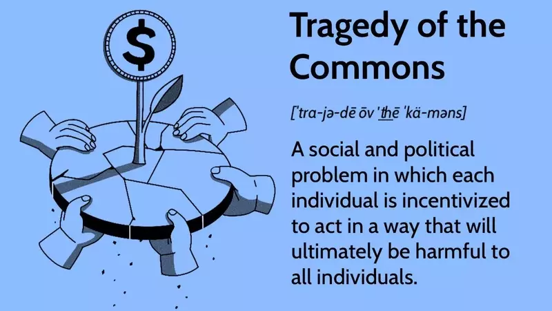 The Tragedy of the Commons: Understanding Resource Depletion