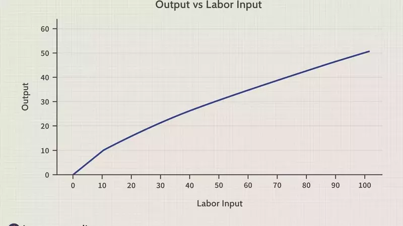 The Economic Principle of Diminishing Marginal Productivity