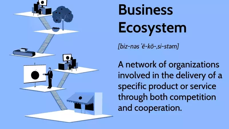 Understanding Business Ecosystems: Collaboration, Competition, and Evolution