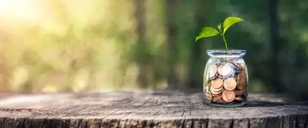 Q1 2026 Investment Review: Market Volatility and AI Impact