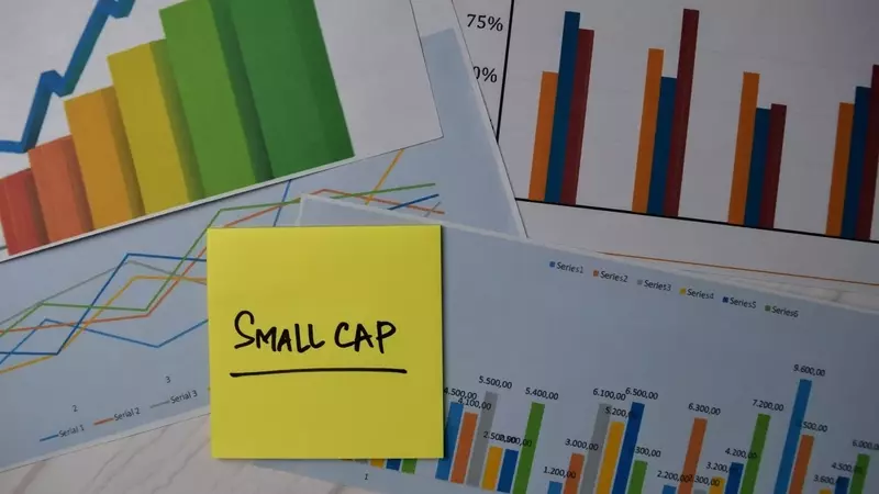 Brown Advisory Small-Cap Fundamental Value Strategy: Q1 2026 Performance Overview
