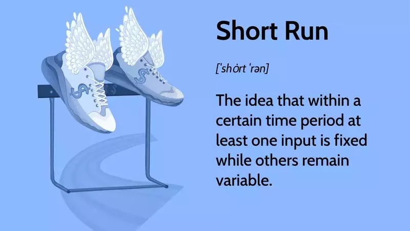 Understanding the Short Run in Economics: Fixed Inputs and Business Strategies