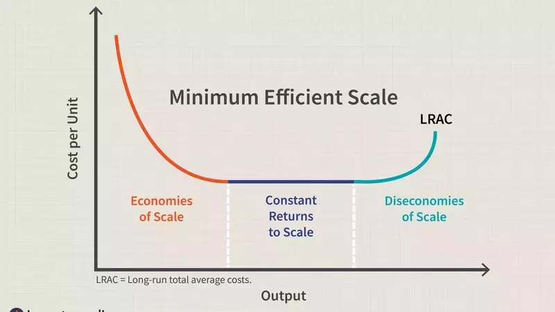 Understanding Minimum Efficient Scale in Business