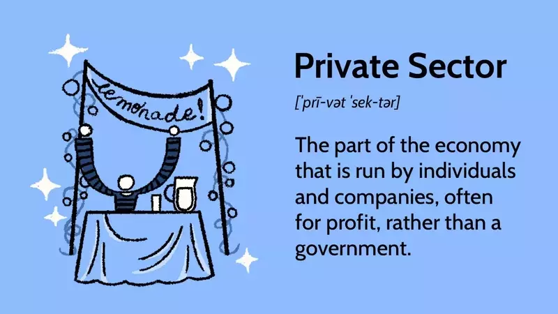 Understanding the Private Sector: Operations, Types, and Distinctions from the Public Sector