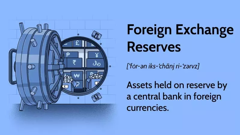 Understanding Foreign Exchange Reserves